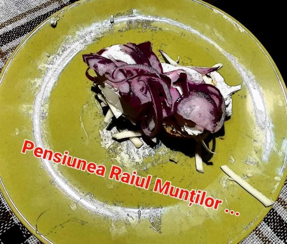 Pensiunea Raiul Muntilor Sebis Экстерьер фото
